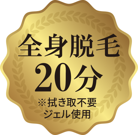 全身脱毛20分 ※拭き取不要ジェル使用